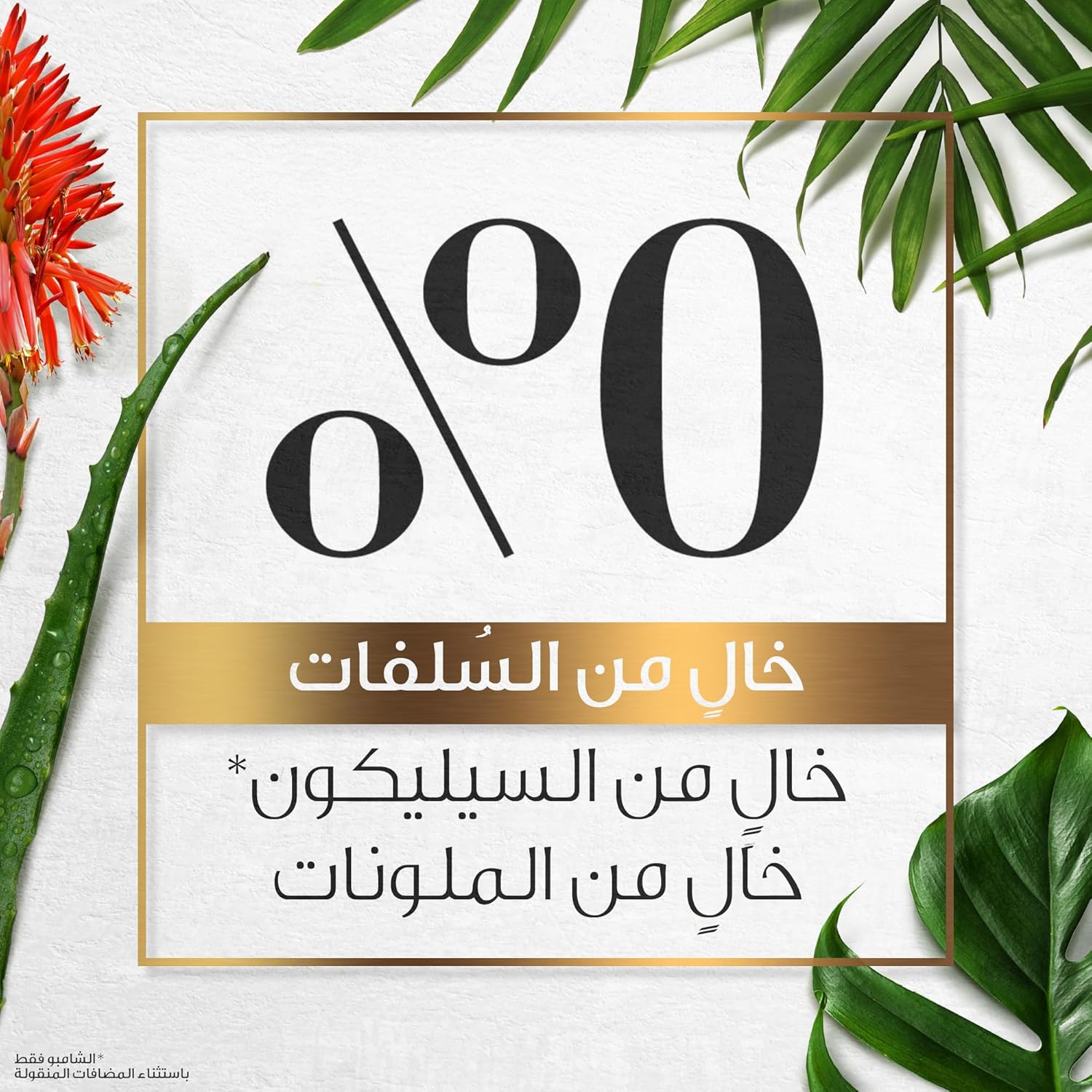 هيربل اسنسز بلسم قوي لتقوية الشعر خالي من الكبريتات وخلاصة الصبار + الخيزران الطبيعي للشعر الجاف، 400 مل - الصورة 5