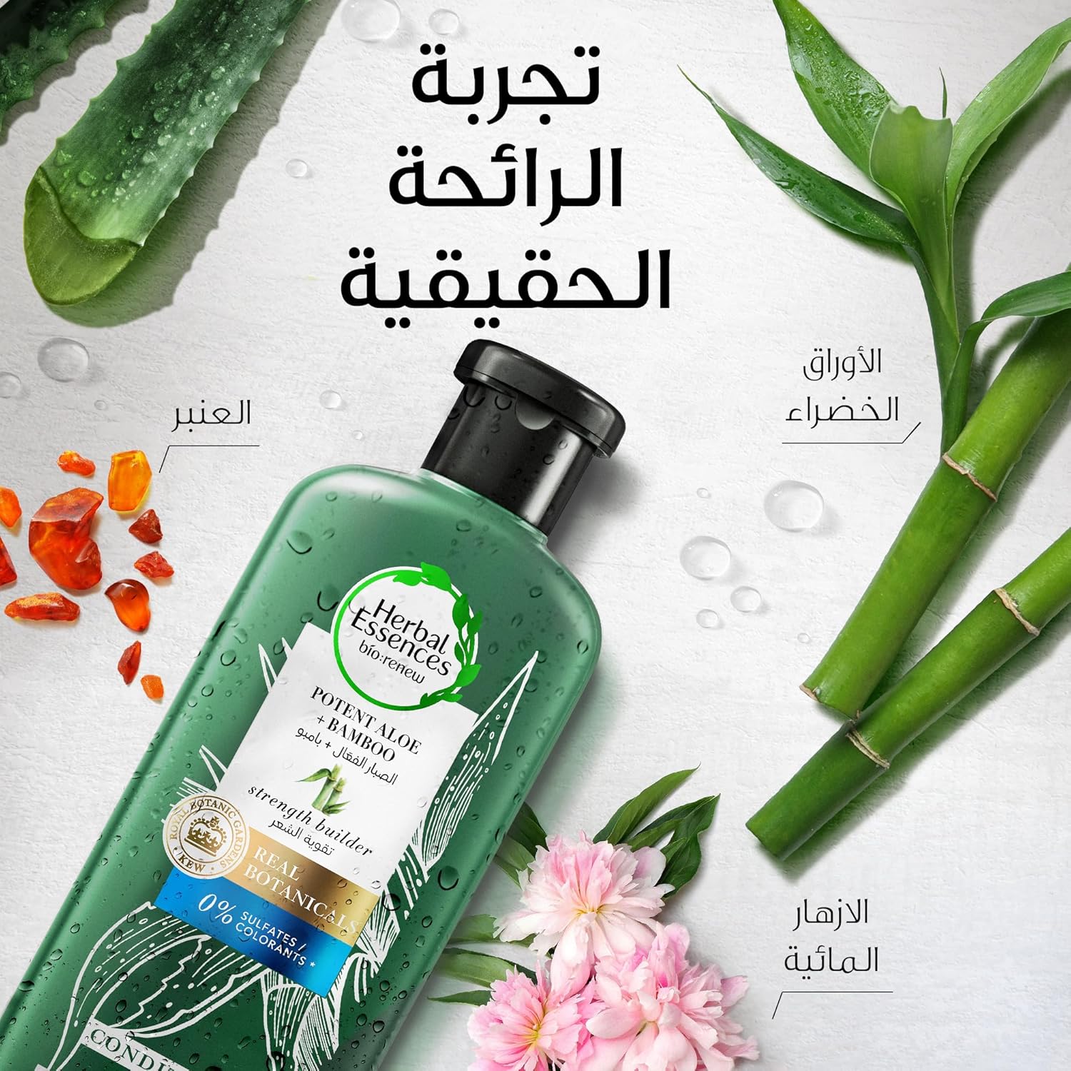 هيربل اسنسز بلسم قوي لتقوية الشعر خالي من الكبريتات وخلاصة الصبار + الخيزران الطبيعي للشعر الجاف، 400 مل - الصورة 3