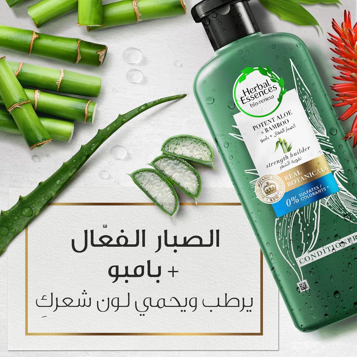 هيربل اسنسز بلسم قوي لتقوية الشعر خالي من الكبريتات وخلاصة الصبار + الخيزران الطبيعي للشعر الجاف، 400 مل - الصورة 2