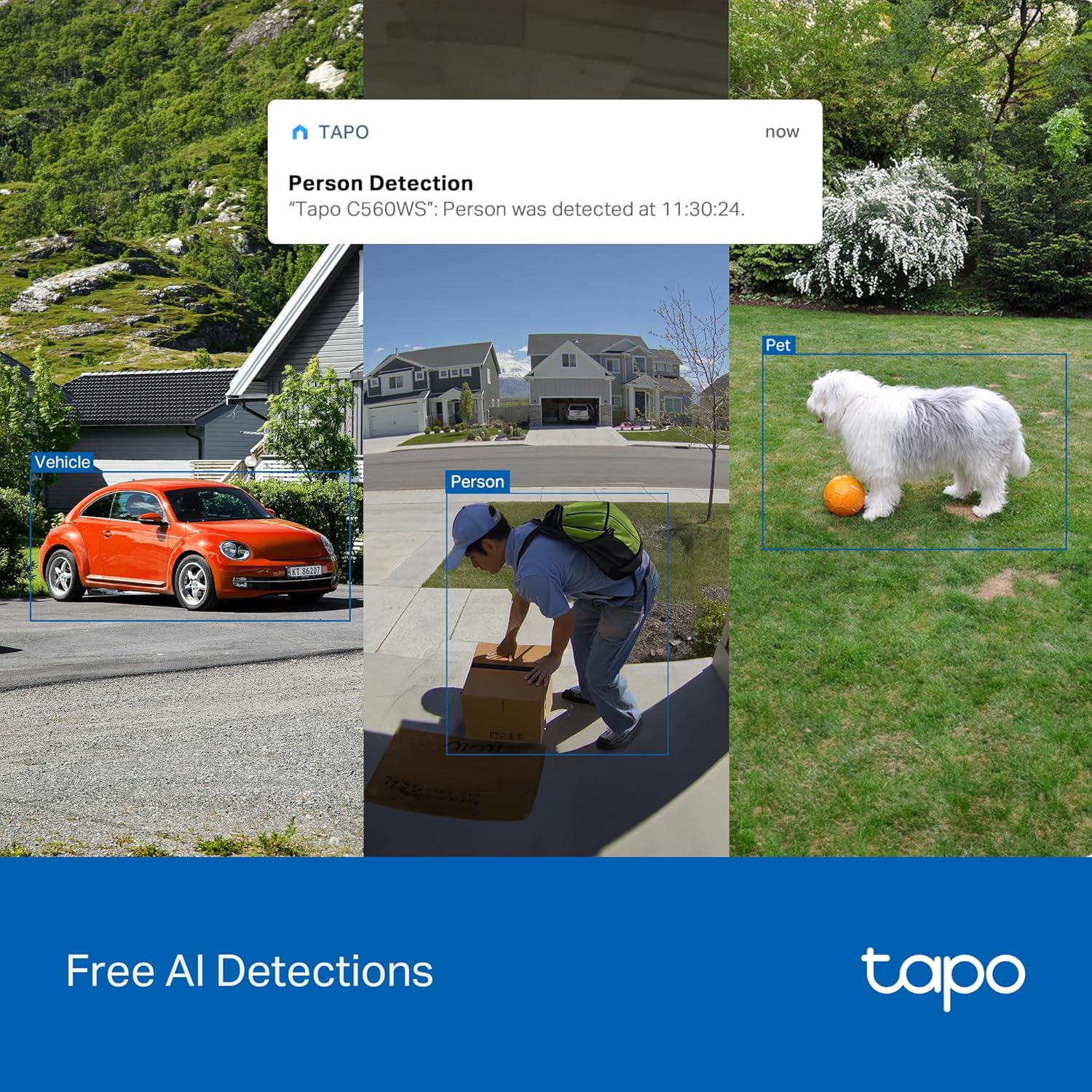 كاميرا أمان خارجية Tapo 4K 8MP سلكية قابلة للإمالة، كشف مجاني للشخص/المركبة ومسار حركة 360 درجة، ليلة ملونة، ذكاء اصطناعي محلي، تخزين SD/سحابي، تعمل مع Alexa وGoogle Home، 2.4 جيجا هرتز WiFi C560WS - الصورة 4