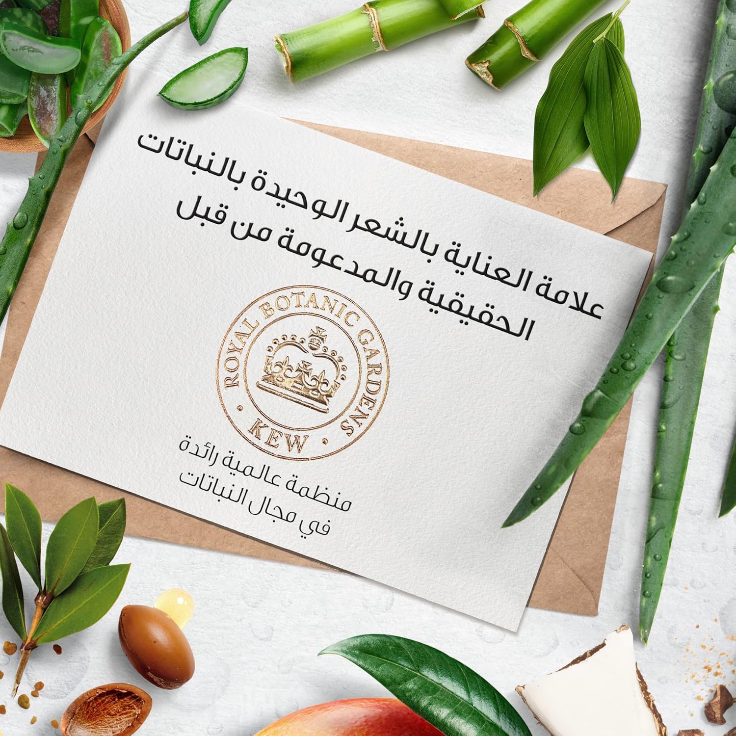 هيربل اسنسز بلسم قوي لتقوية الشعر خالي من الكبريتات وخلاصة الصبار + الخيزران الطبيعي للشعر الجاف، 400 مل - الصورة 4