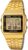 Casio Watch